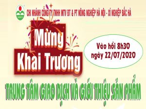 Read more about the article Khai trương Trung tâm giao dịch và giới thiệu sản phẩm